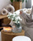 WoodWick Candle - Ellipse White Tea & Jasmine
