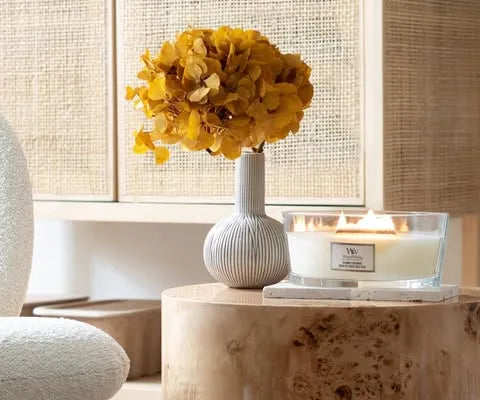 WoodWick Ellipse Candle - Island Coconut