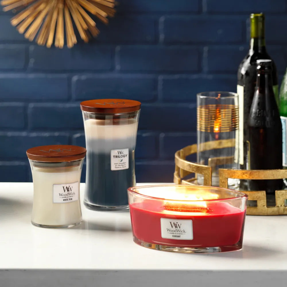 WoodWick Candle - Ellipse Currant