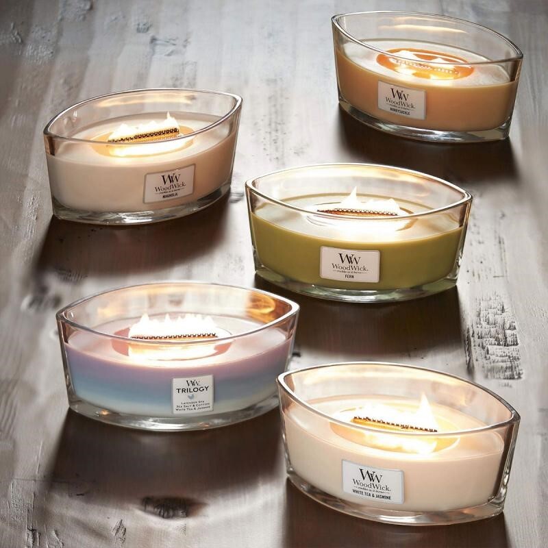 WoodWick Candle - Ellipse Magnolia