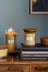WoodWick Candle - Medium Seaside Mimosa