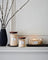 WoodWick Candle - Large White Honey