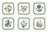 Pimpernel Botanic Garden - Coasters - (Set of 6) Mixed Motifs