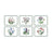 Pimpernel Botanic Garden - Regular Placemats - (Set of 6) Mixed Motifs