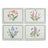 Pimpernel Botanic Garden - Large Placemats - (Set of 4) Mixed Motifs
