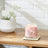 Yankee Candle Signature Medium Jar - Pink Sands