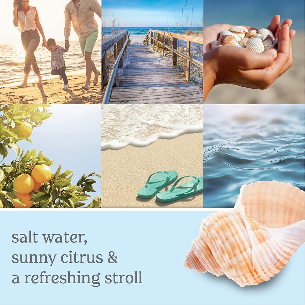 Yankee Candle Signature Medium Jar - Beach Walk