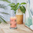 Yankee Candle Signature Large Tumbler - Tropical Breeze