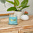 Yankee Candle Signature Medium Jar - Bahama Breeze