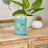 Yankee Candle Signature Large Jar - Bahama Breeze