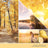 Yankee Candle Signature Medium Jar - Sunlit Autumn