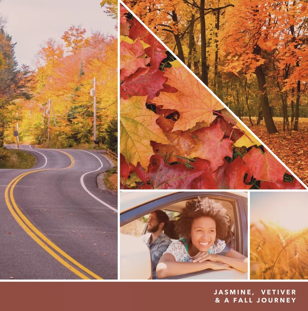 Yankee Candle Signature Medium Jar - Woodland Road Trip