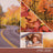 Yankee Candle Signature Medium Jar - Woodland Road Trip