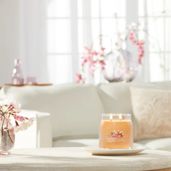 Yankee Candle Signature Medium Jar - Mango Ice Cream
