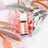Essential Oils by Lively Living - Focus