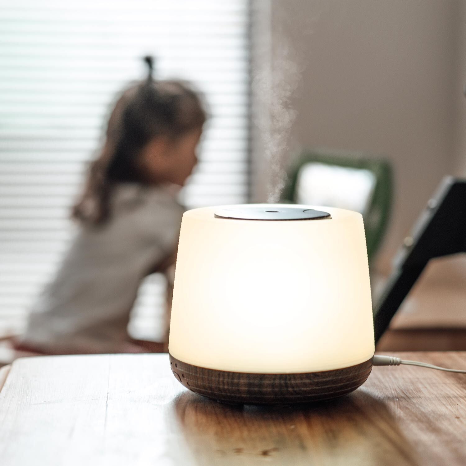 Aroma Home Diffuser By Lively Living