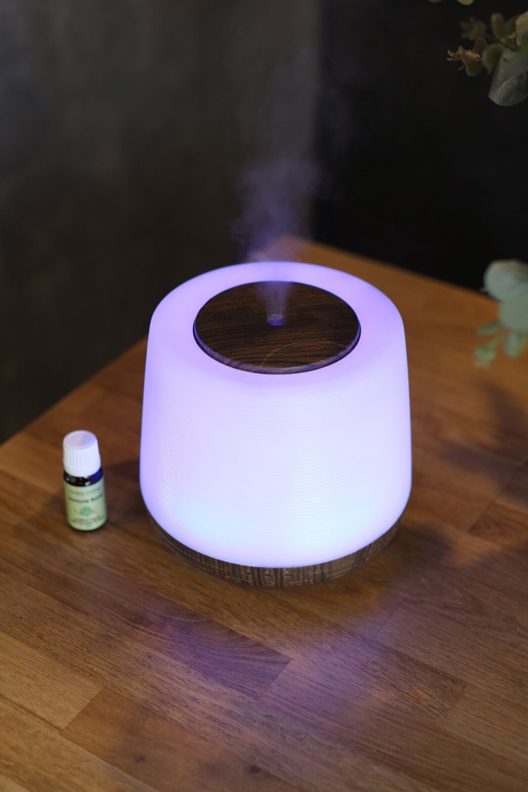 Aroma Home Diffuser By Lively Living